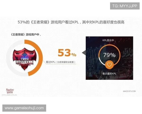 多样化视讯游戏官网玩法介绍,满足不同玩家的多重娱乐需求