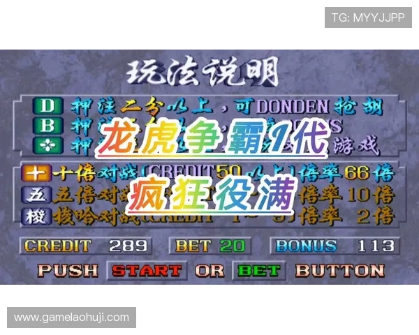 最新单机老虎机游戏应用大全，丰富多样的玩法满足不同玩家需求